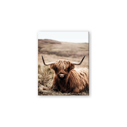 Furry Brown Cow