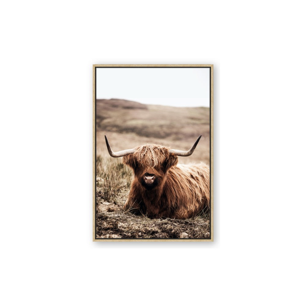Furry Brown Cow