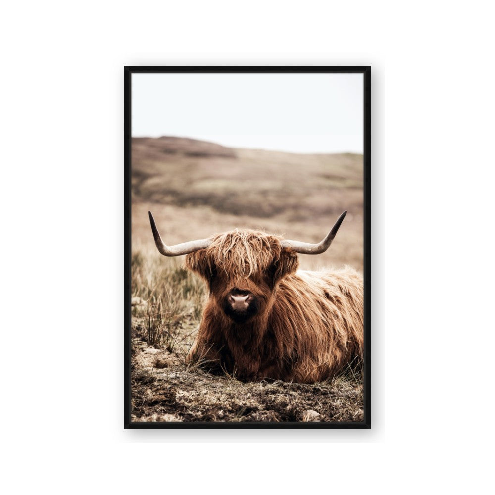 Furry Brown Cow