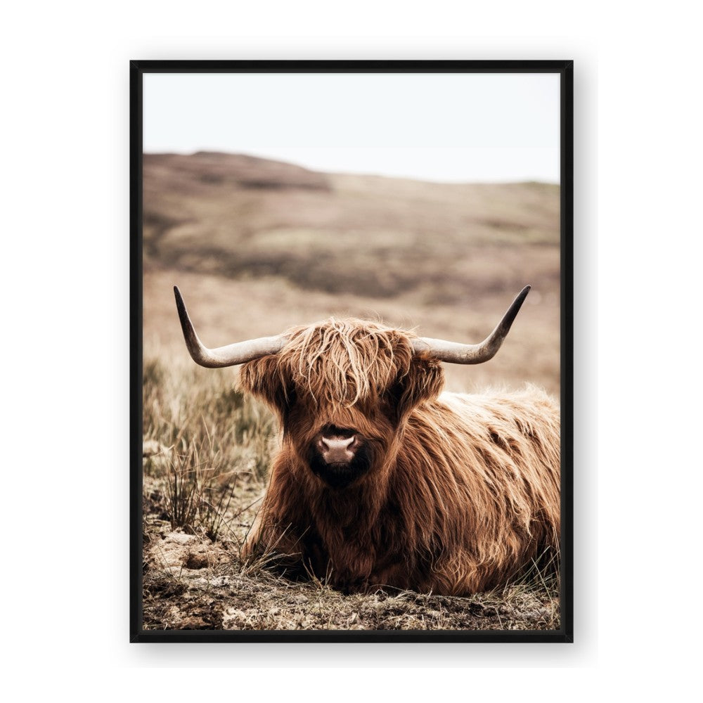 Furry Brown Cow