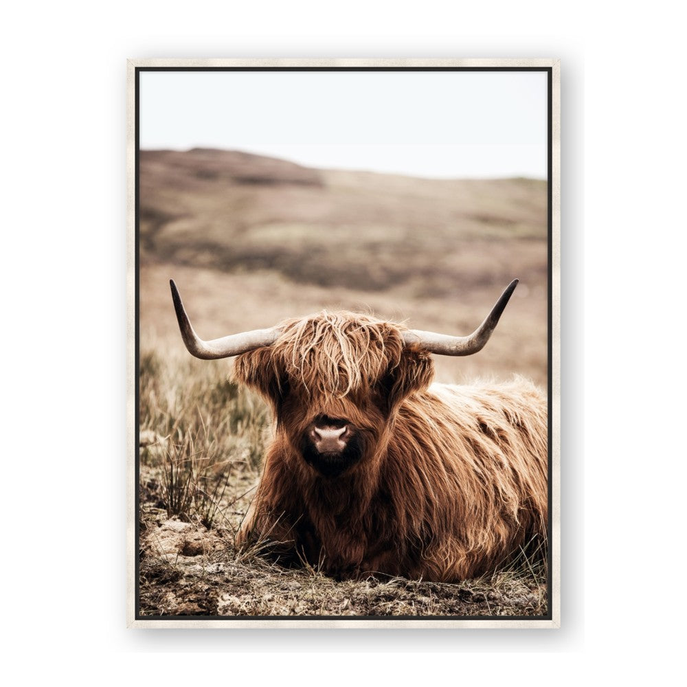 Furry Brown Cow