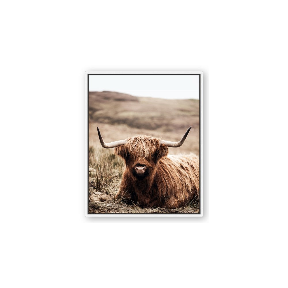 Furry Brown Cow