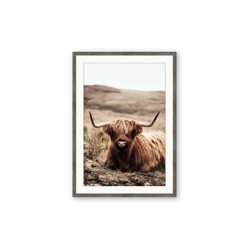 Furry Brown Cow