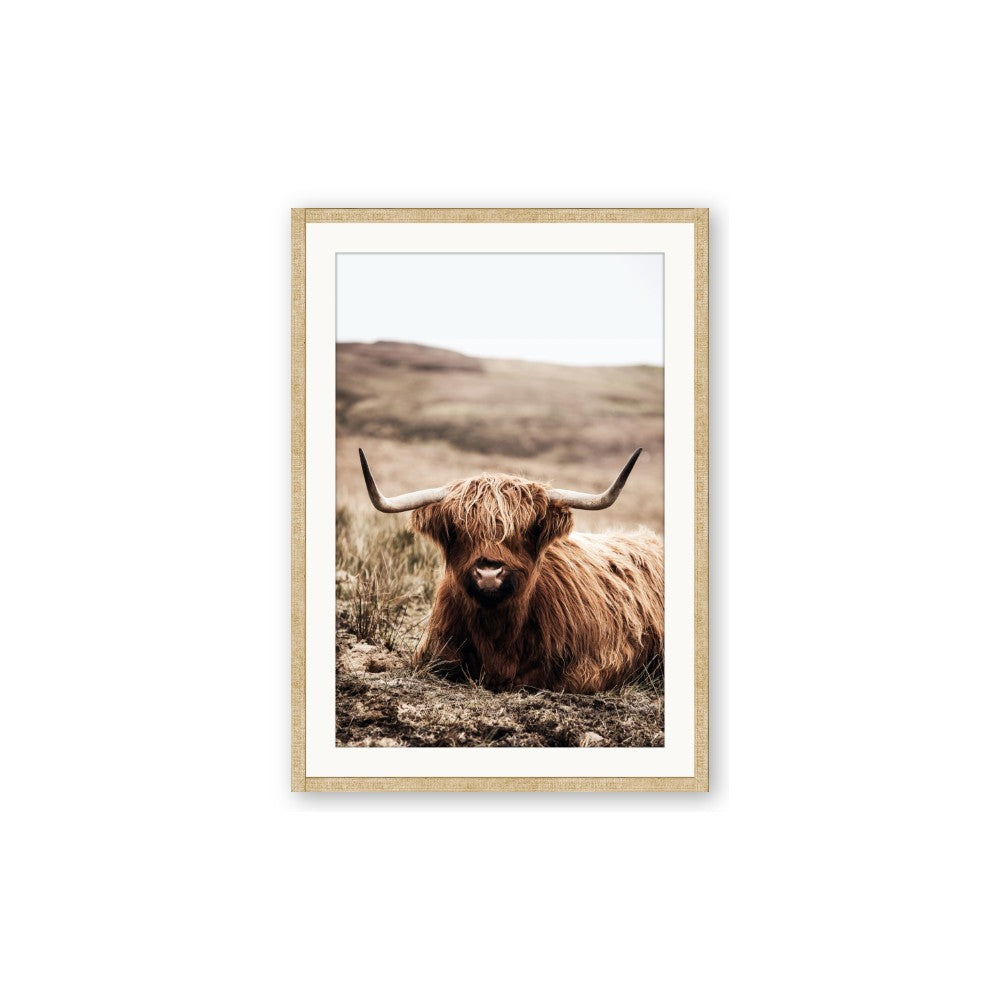 Furry Brown Cow