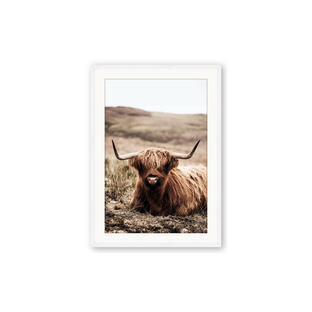 Furry Brown Cow