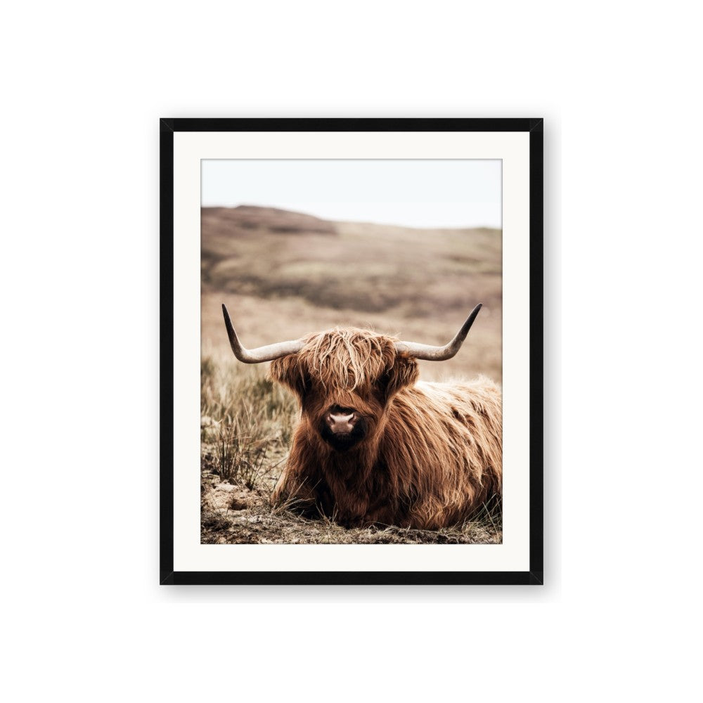 Furry Brown Cow