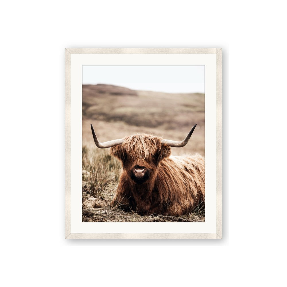 Furry Brown Cow
