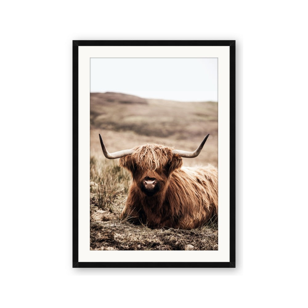 Furry Brown Cow