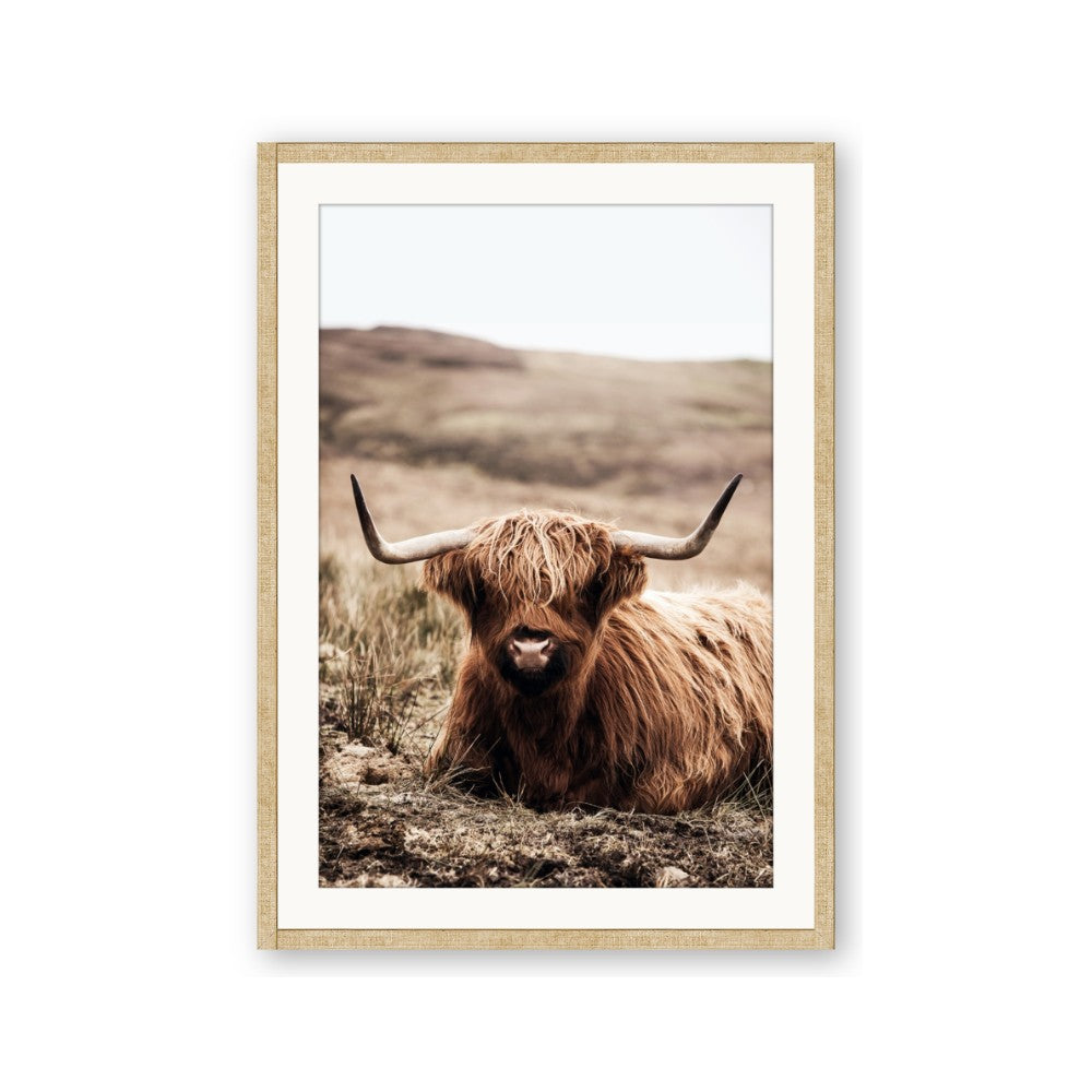 Furry Brown Cow