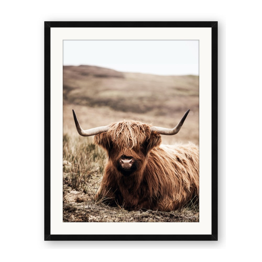 Furry Brown Cow