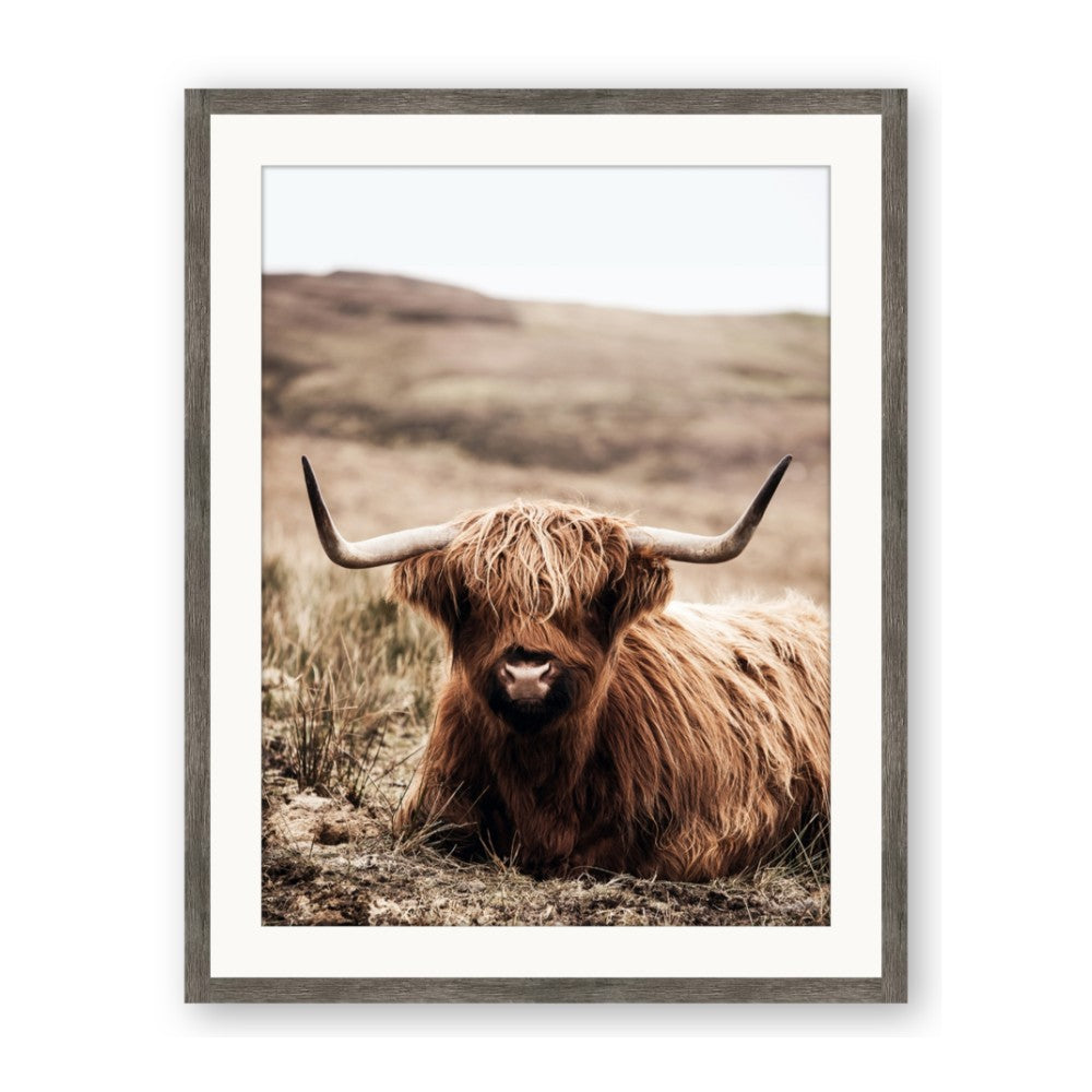 Furry Brown Cow
