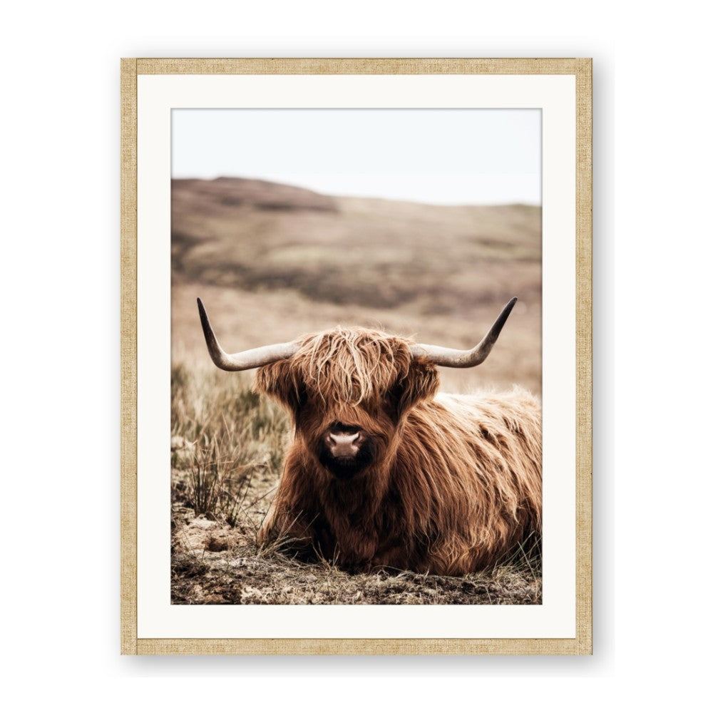 Furry Brown Cow
