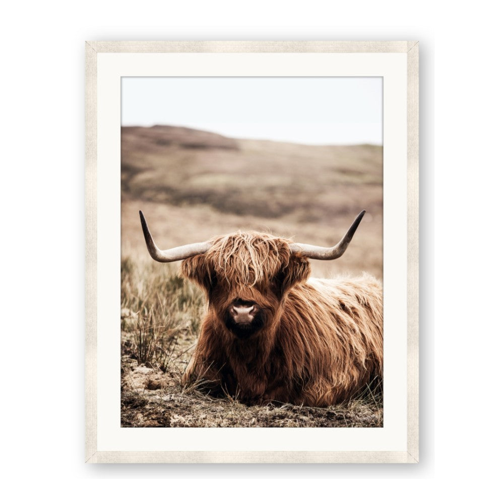 Furry Brown Cow