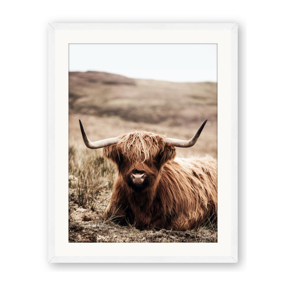 Furry Brown Cow