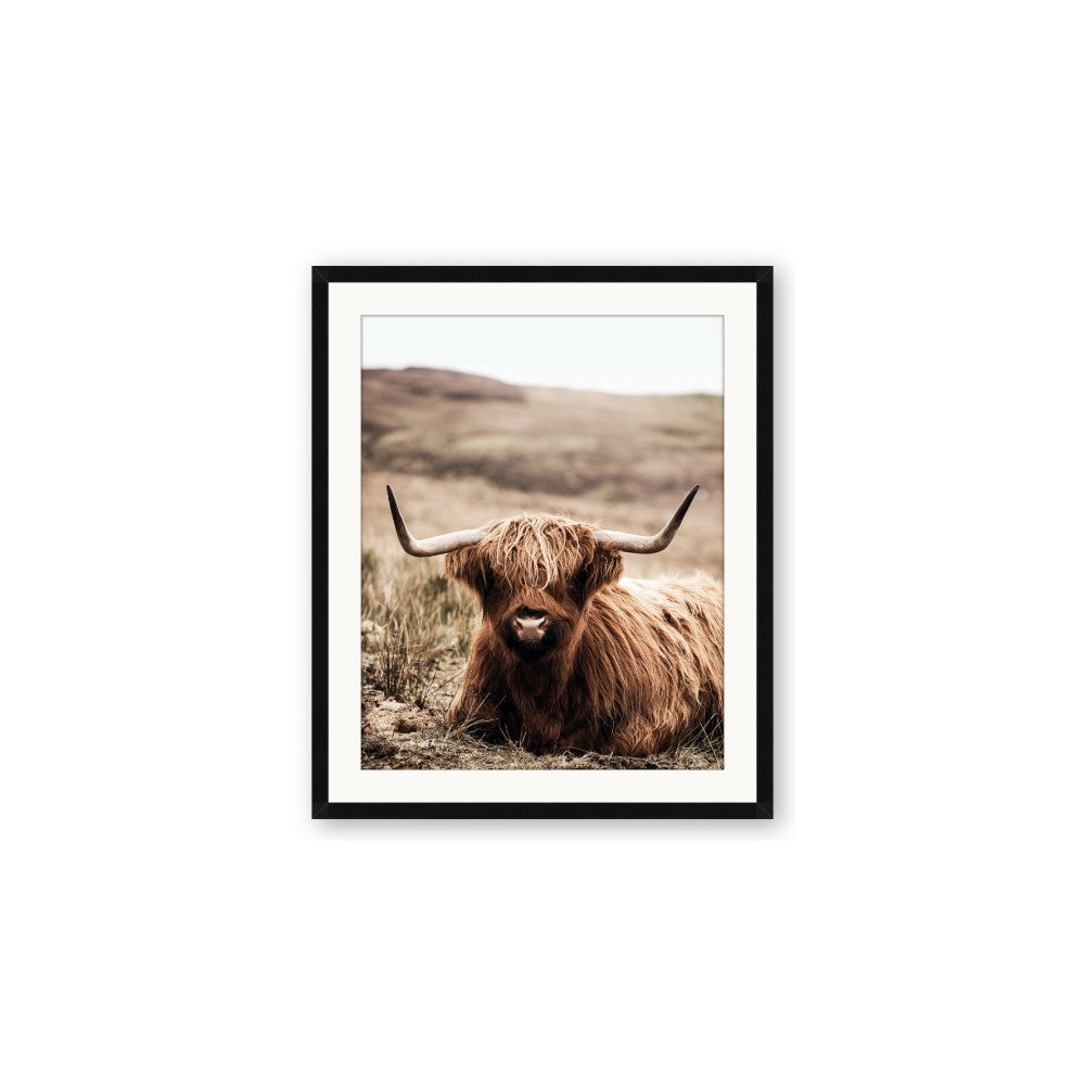 Furry Brown Cow
