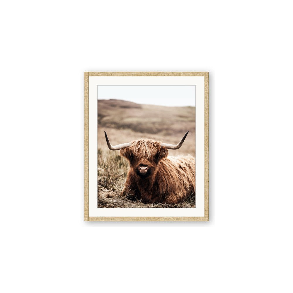 Furry Brown Cow