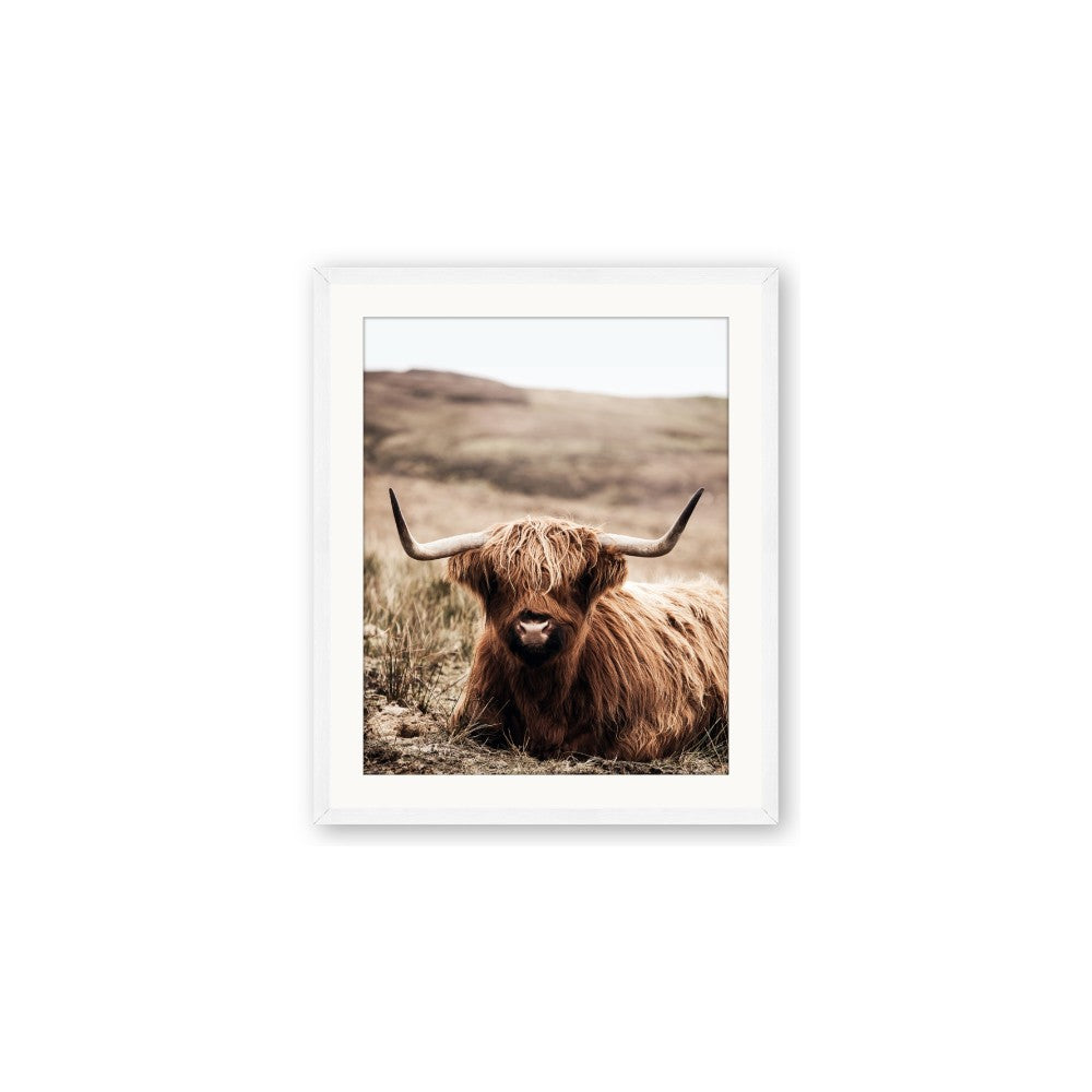 Furry Brown Cow