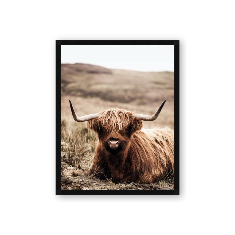 Furry Brown Cow