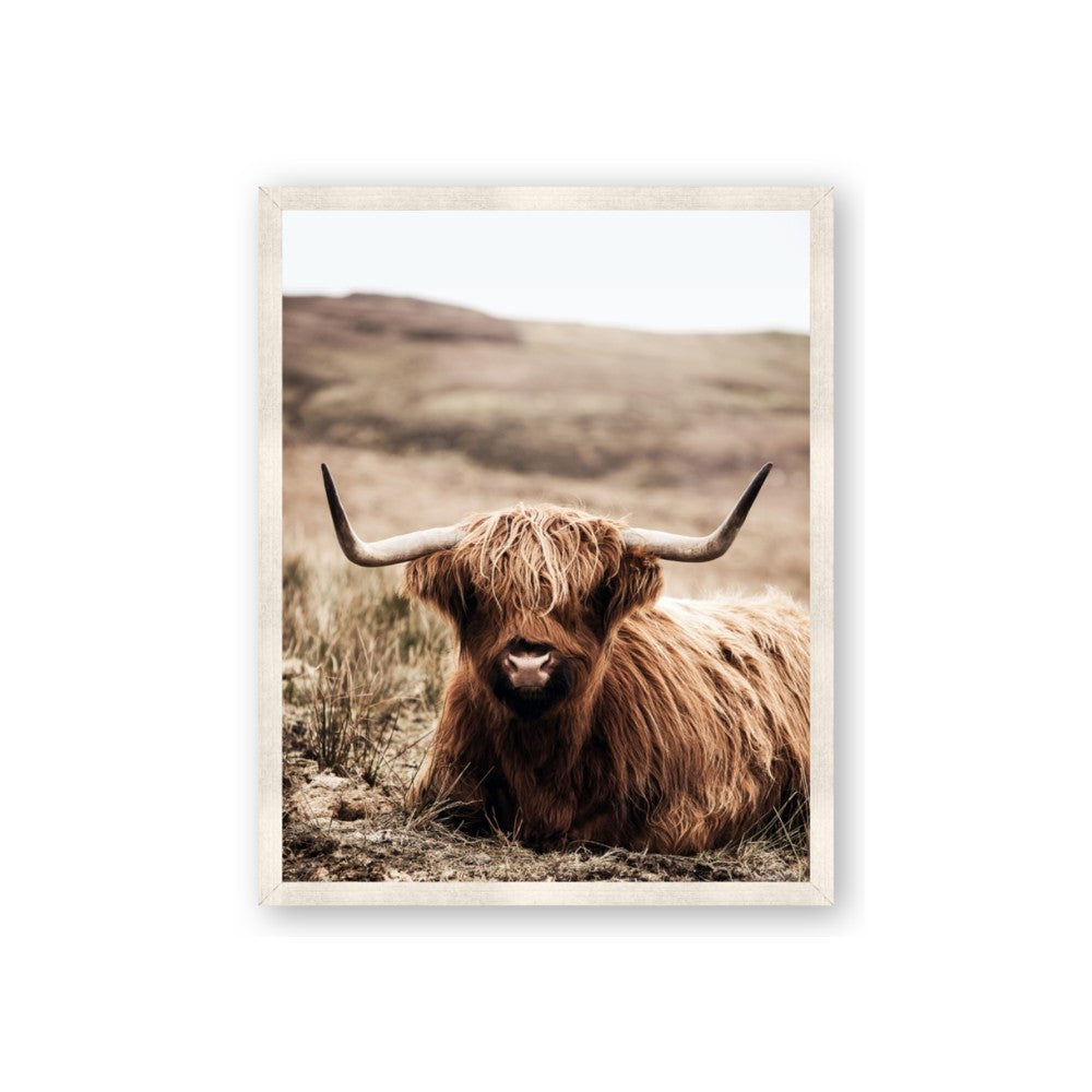 Furry Brown Cow