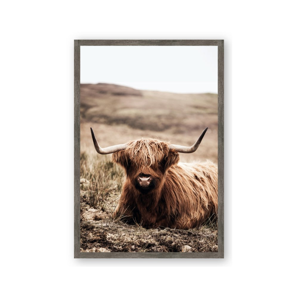 Furry Brown Cow