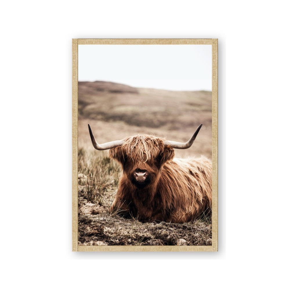 Furry Brown Cow