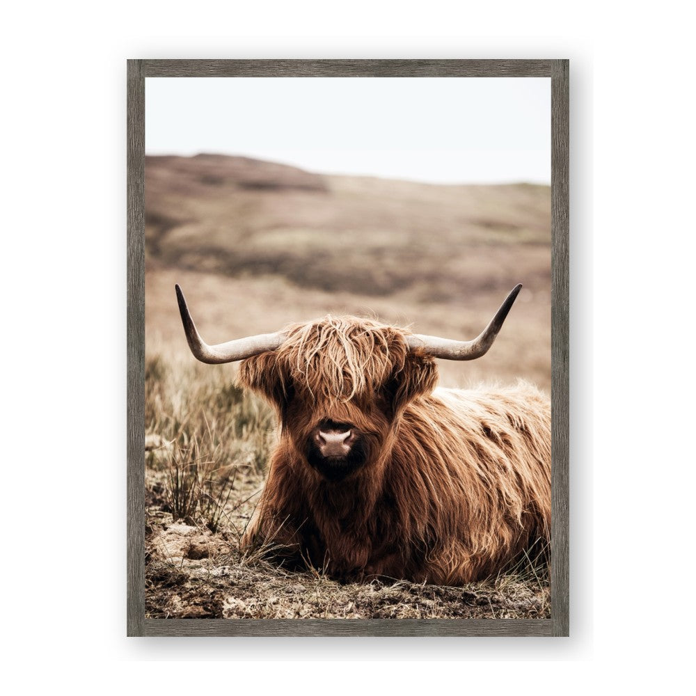 Furry Brown Cow