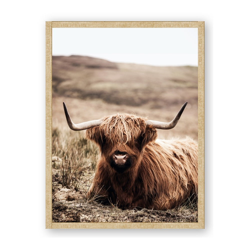 Furry Brown Cow
