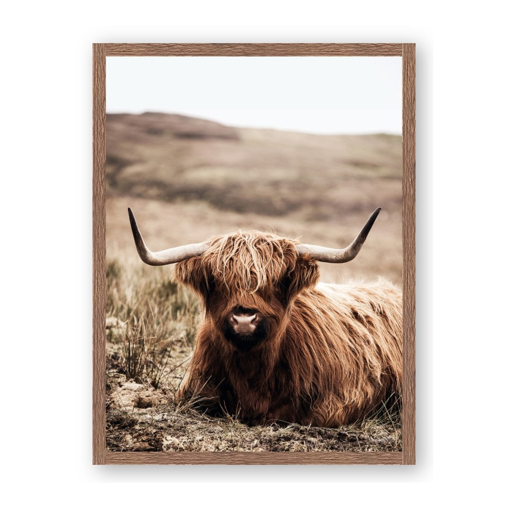 Furry Brown Cow