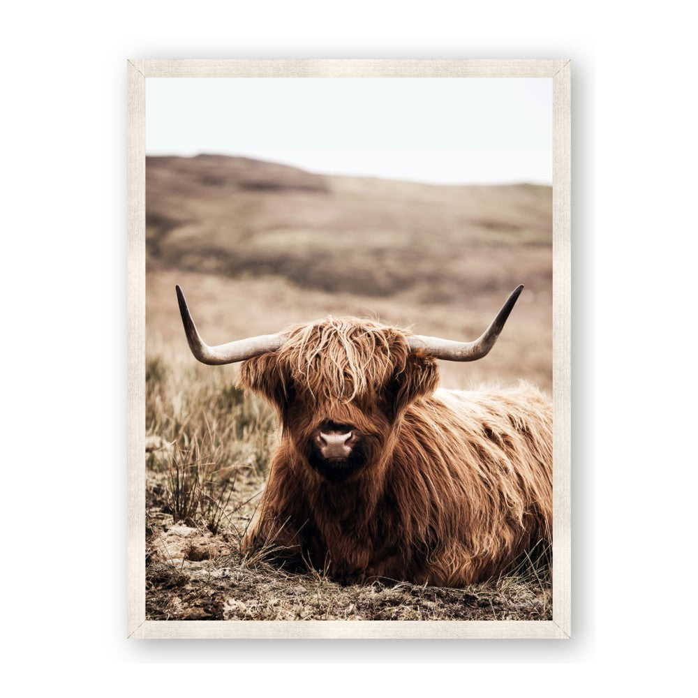 Furry Brown Cow