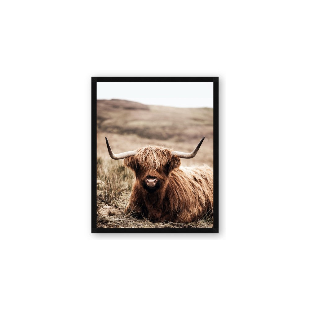 Furry Brown Cow
