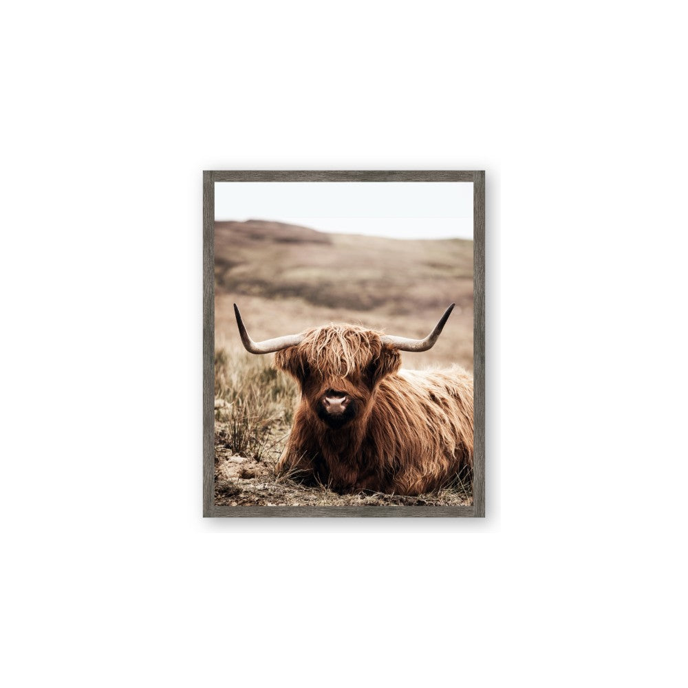Furry Brown Cow