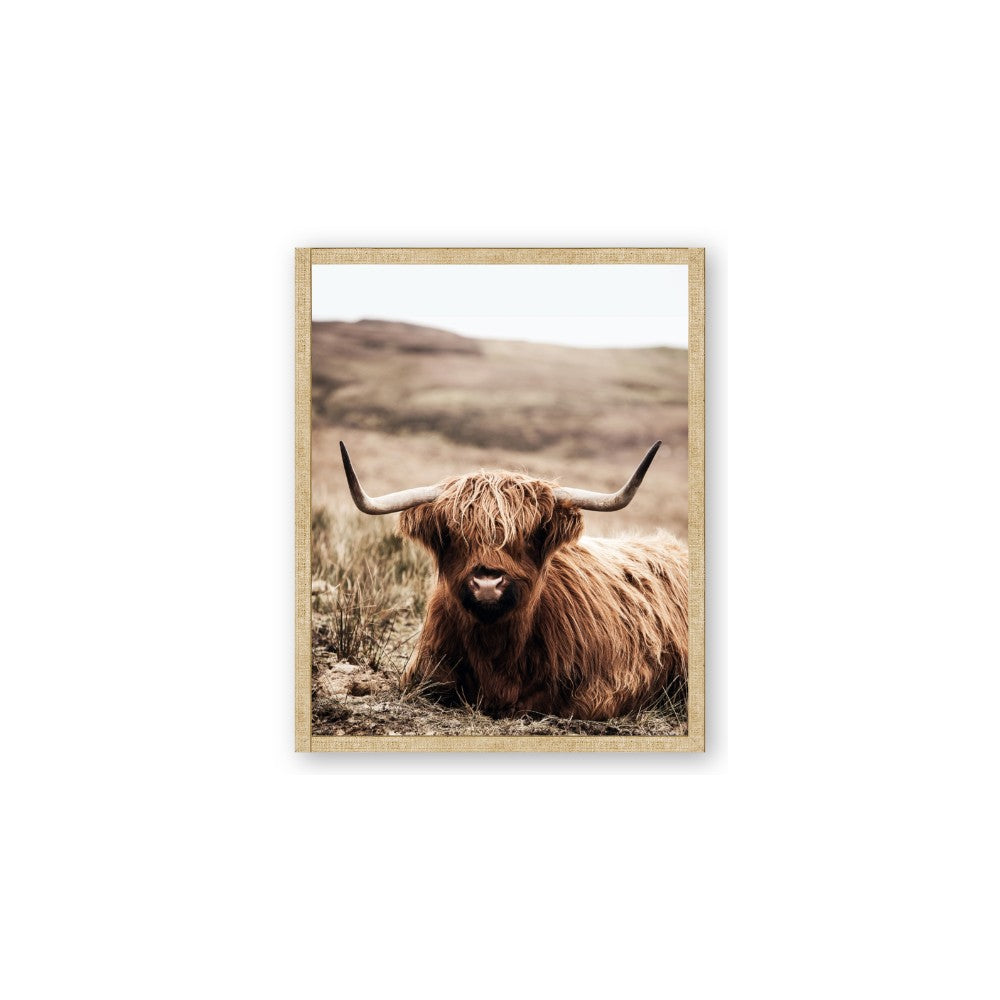 Furry Brown Cow