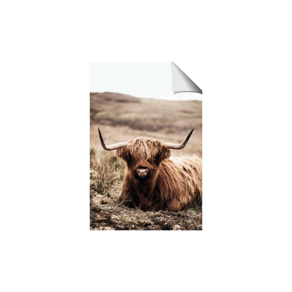 Furry Brown Cow