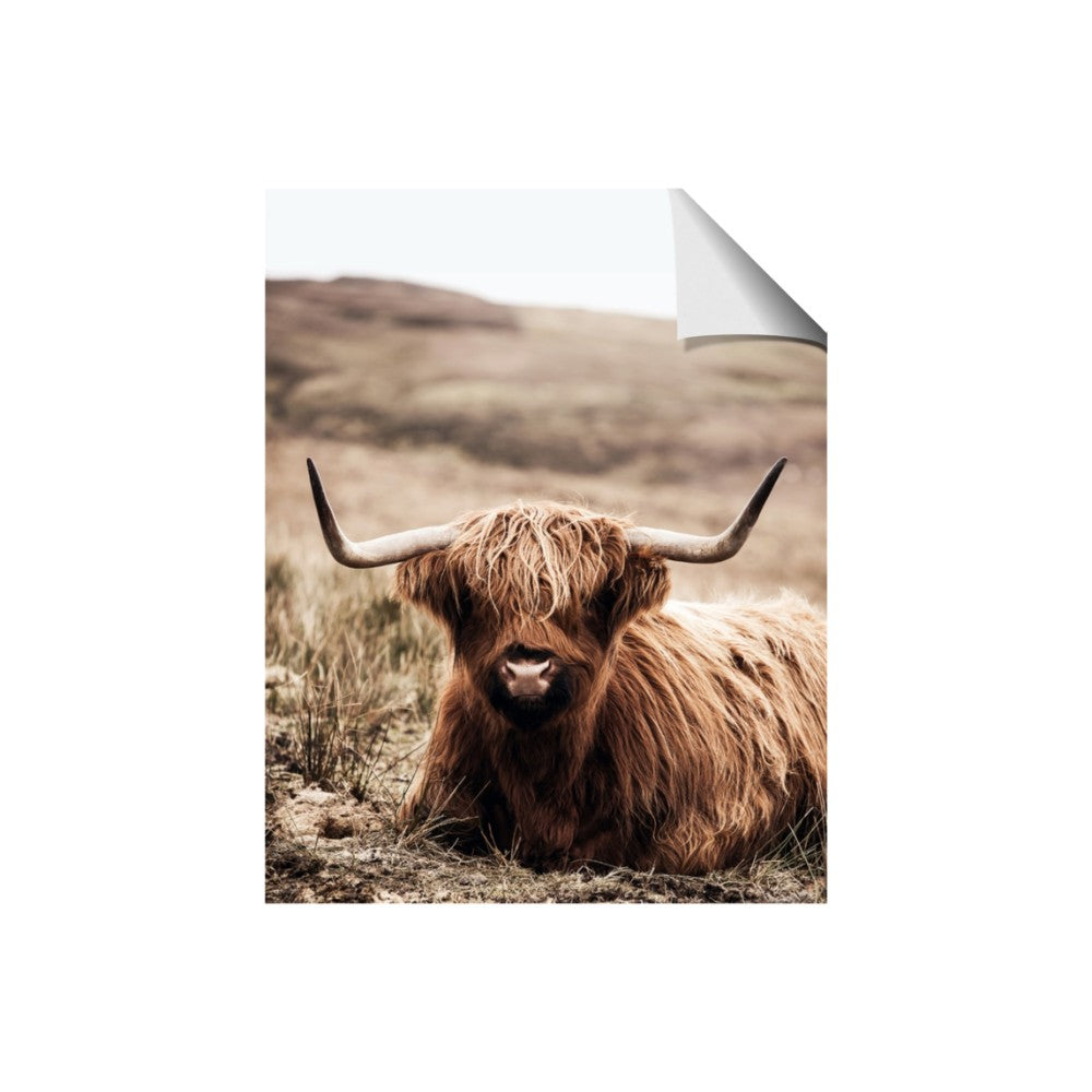 Furry Brown Cow
