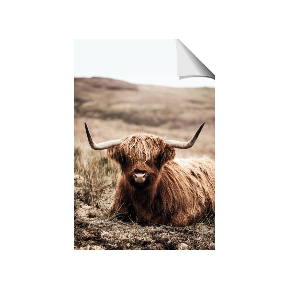 Furry Brown Cow