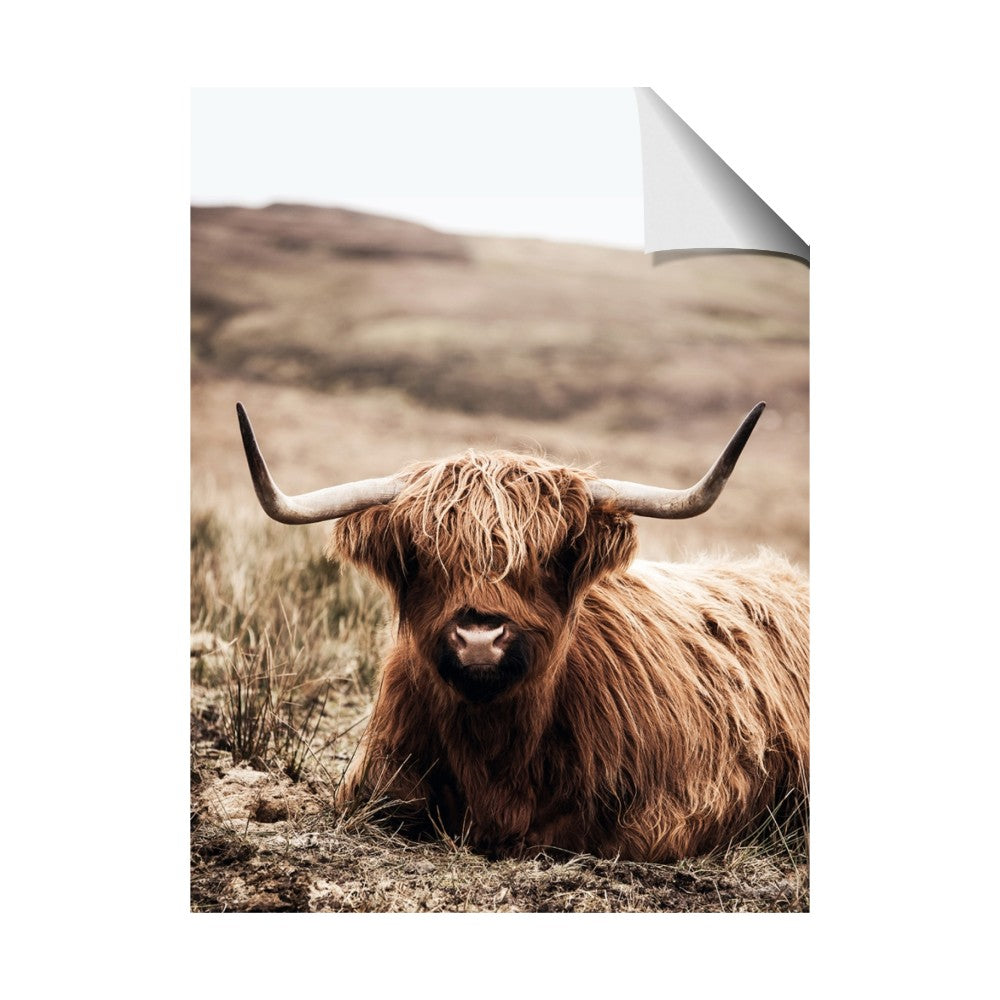 Furry Brown Cow