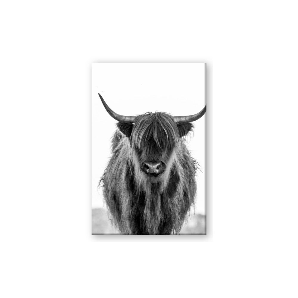 B&W Highland