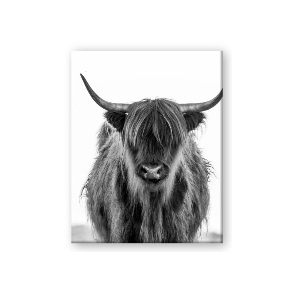 B&W Highland