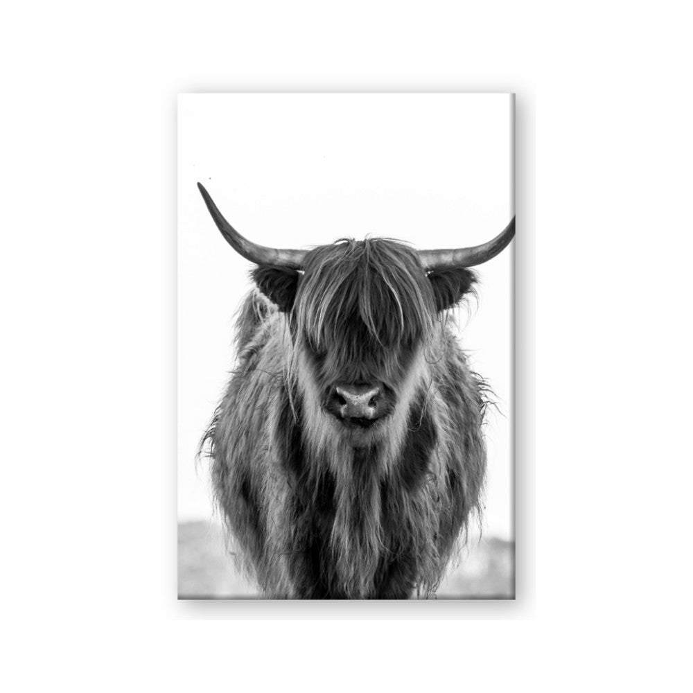 B&W Highland
