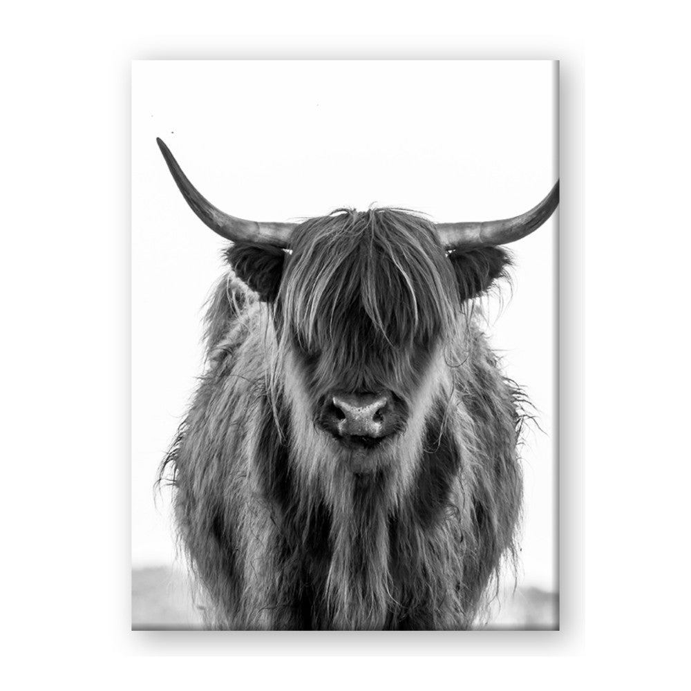 B&W Highland