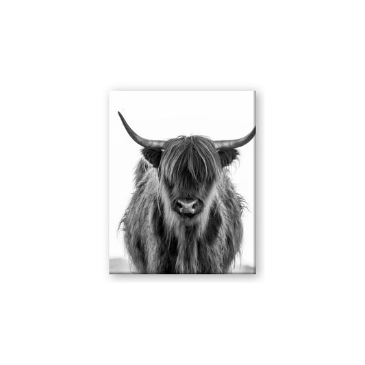 B&W Highland