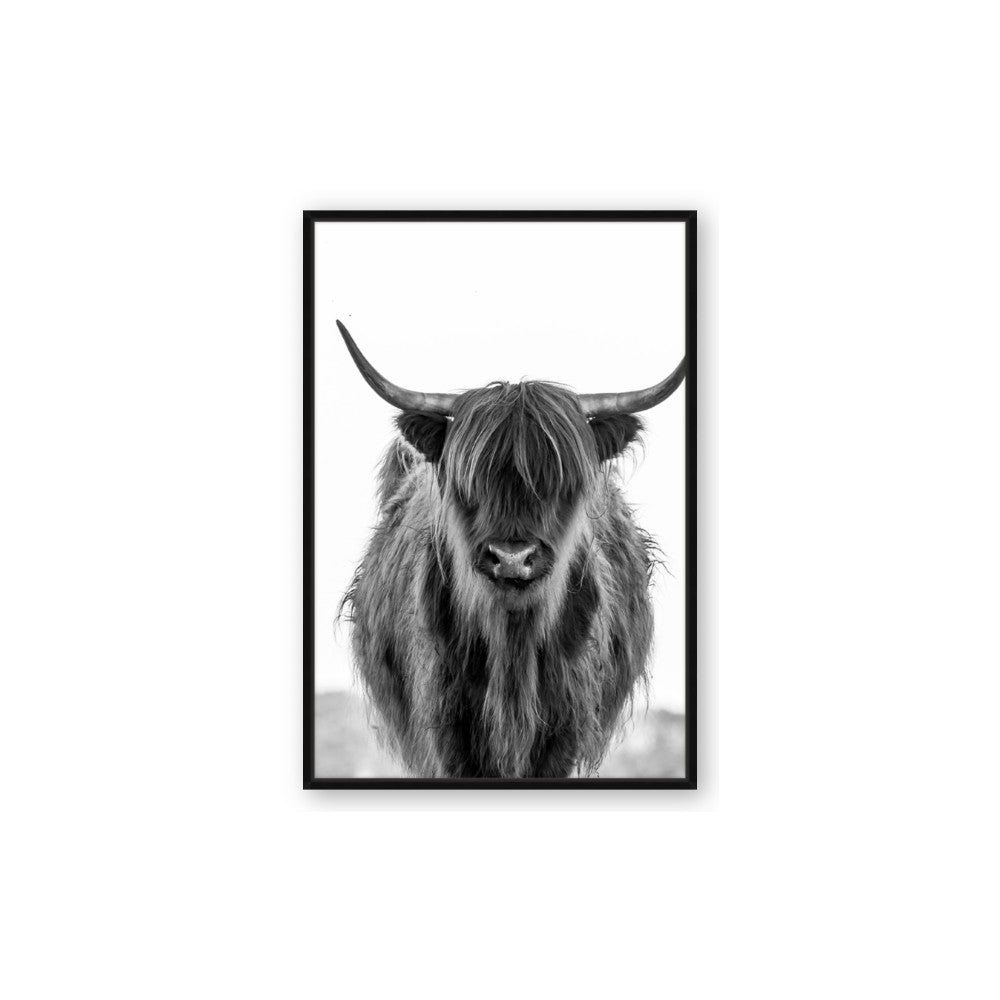 B&W Highland