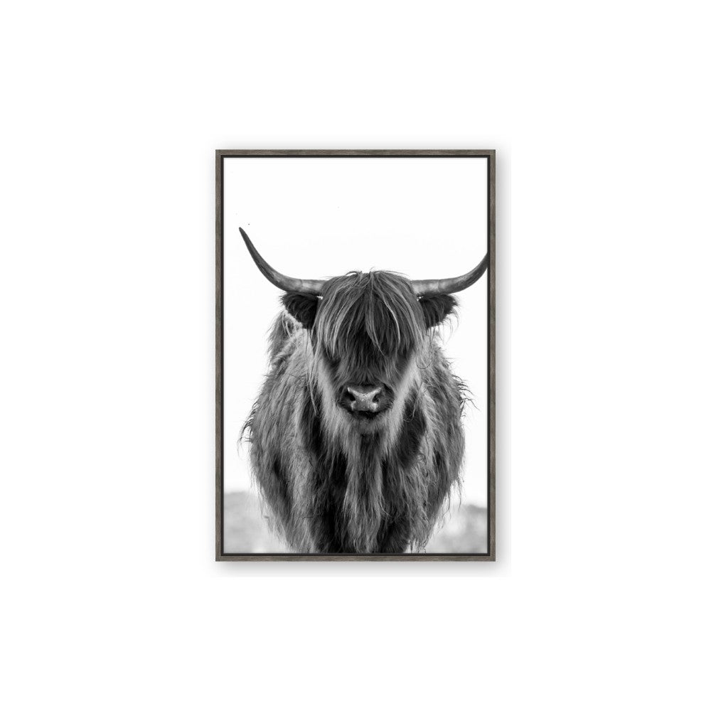 B&W Highland
