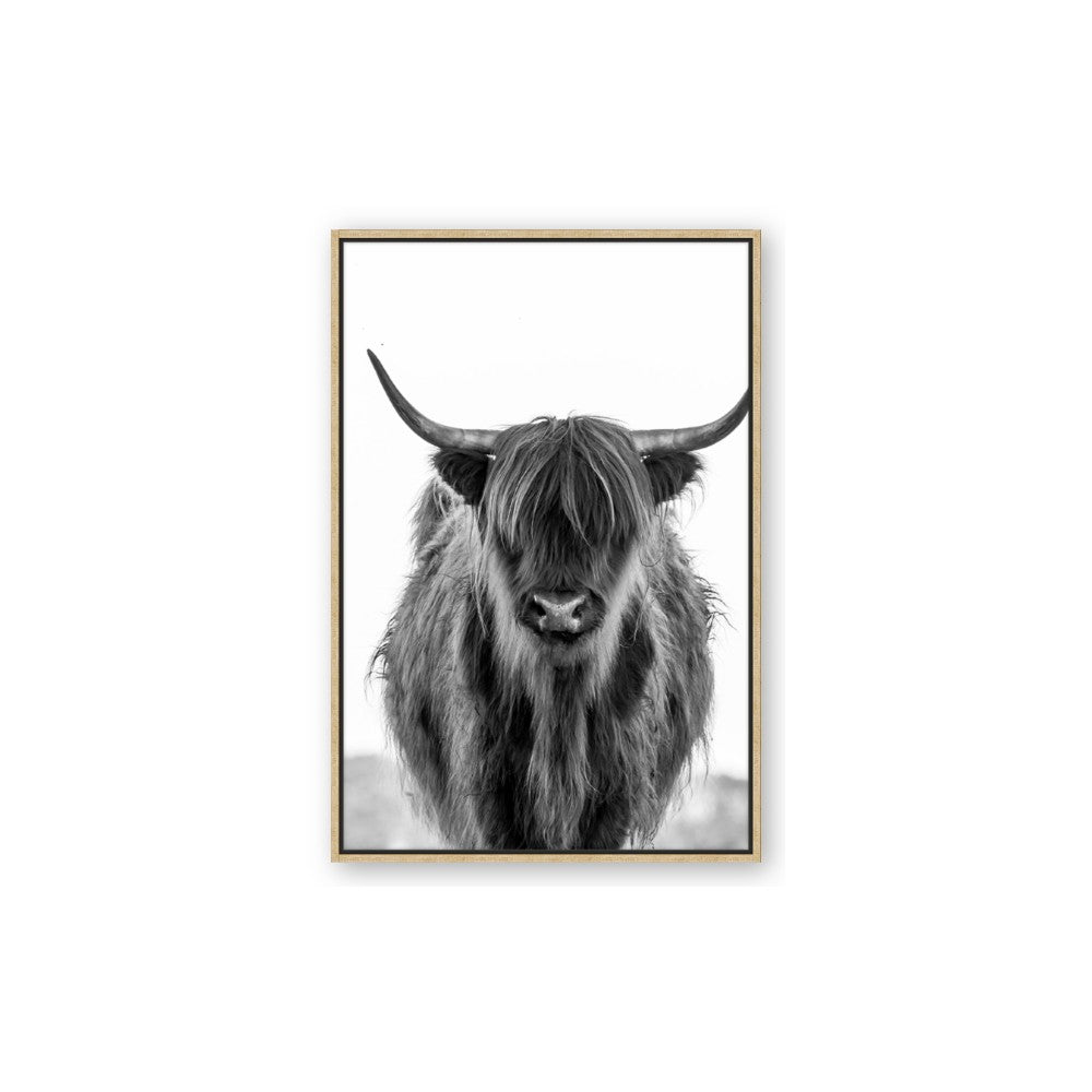 B&W Highland