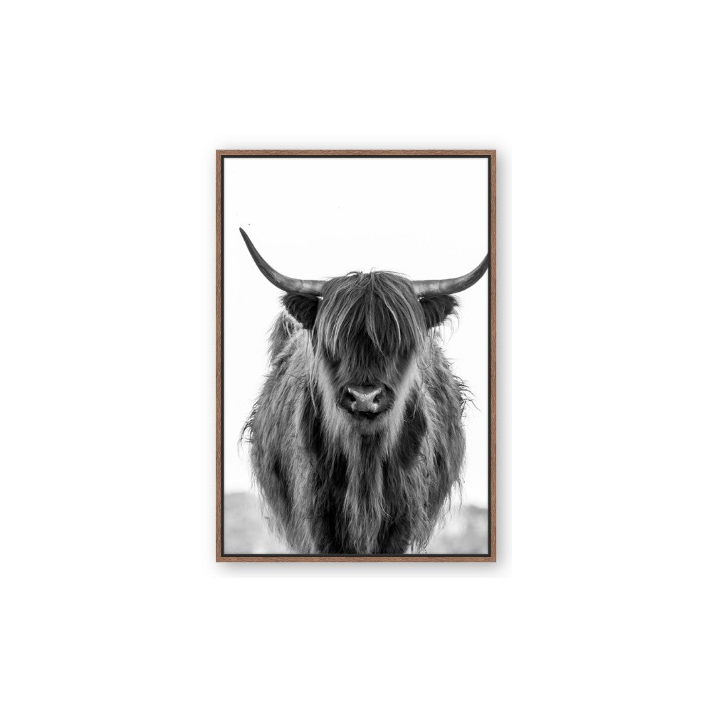 B&W Highland