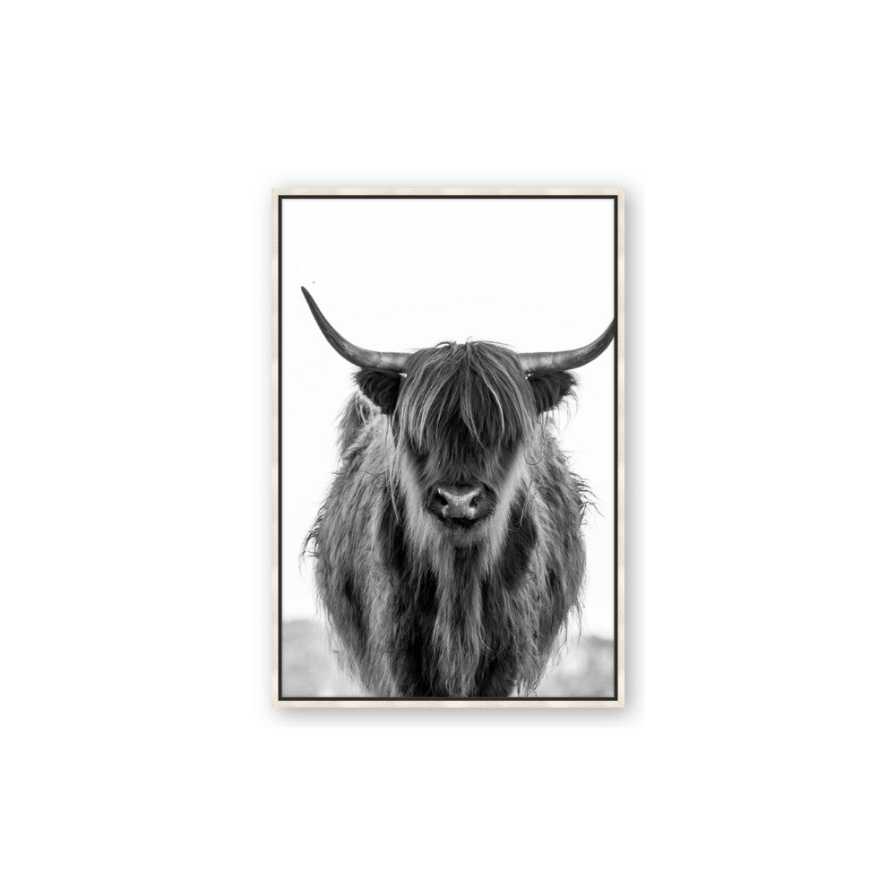 B&W Highland
