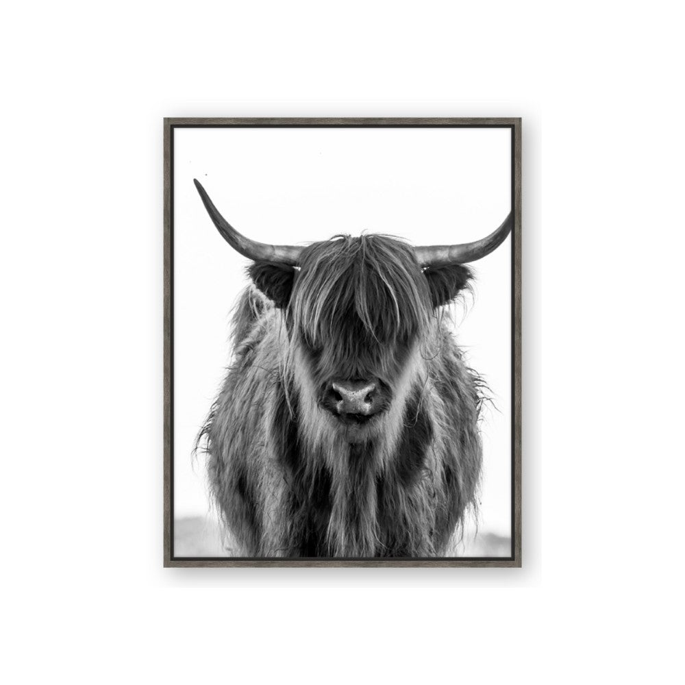 B&W Highland