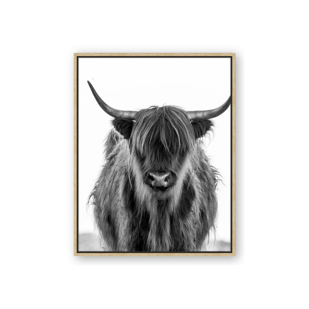 B&W Highland