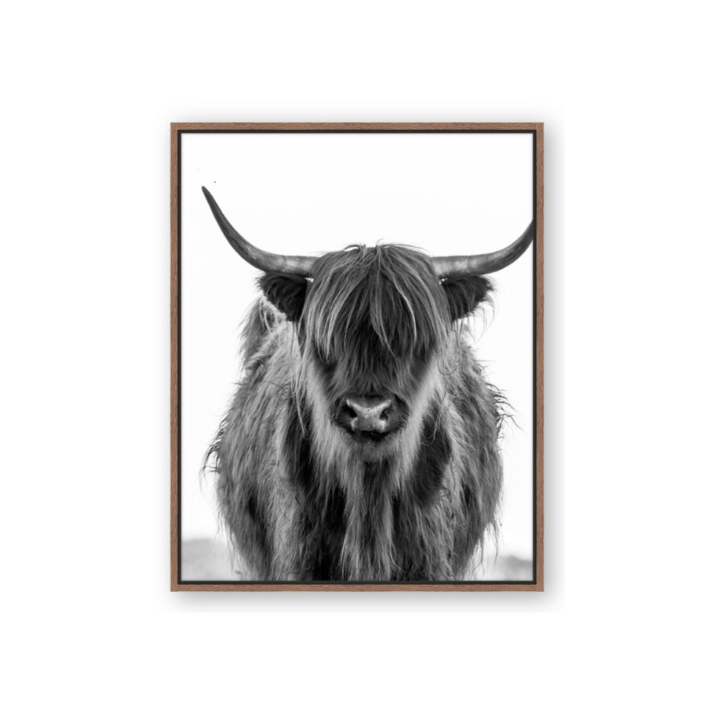 B&W Highland