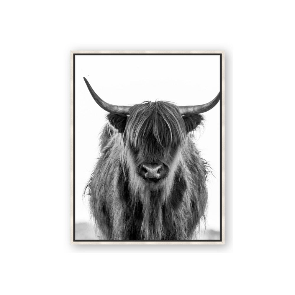 B&W Highland